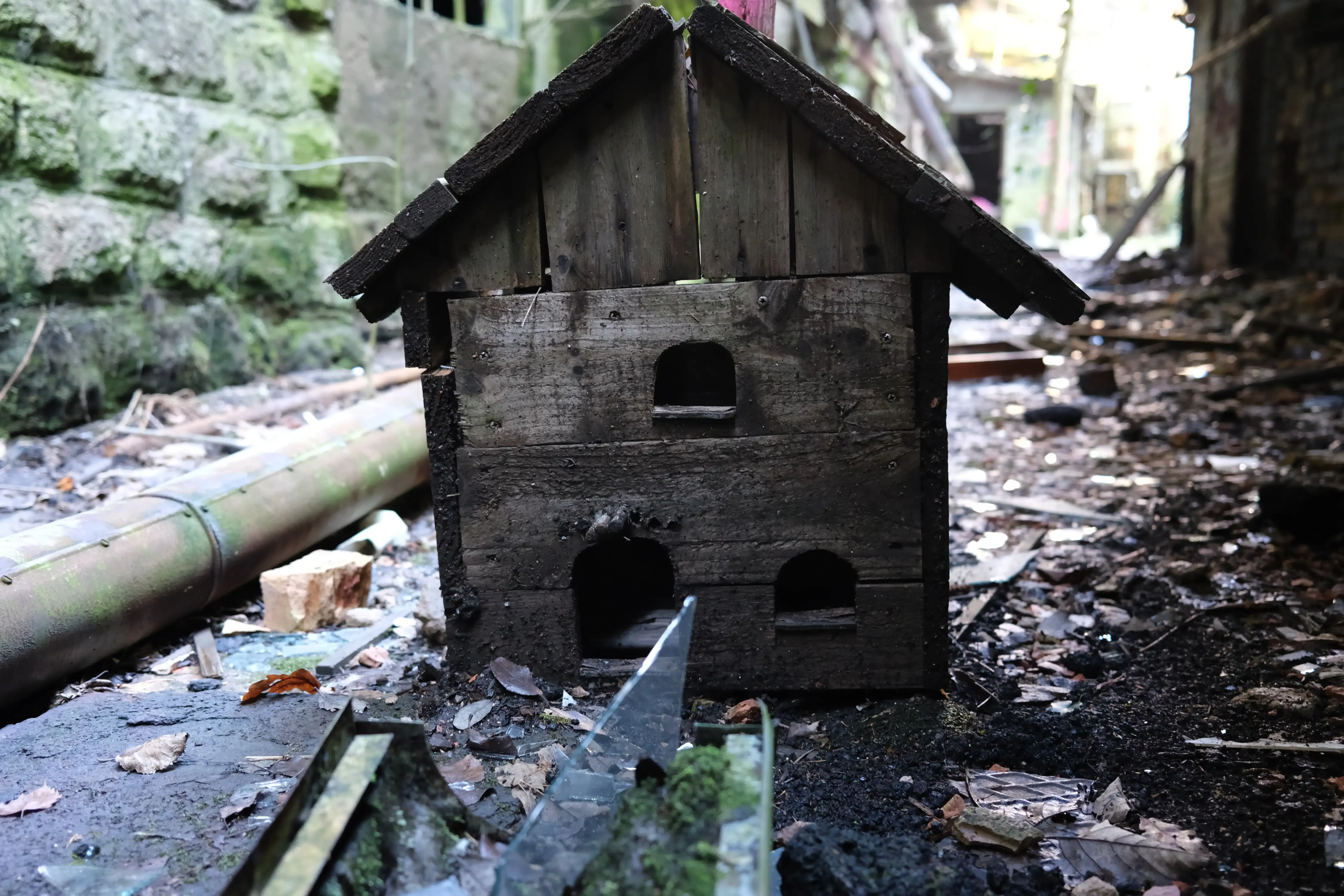 Bird house.